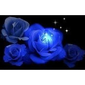 Jo Howard-Bourassa's photo