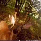 Chris Nestor's photo