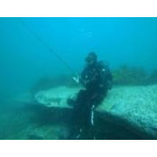 Jack Monteiro's photo