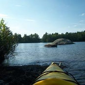 Foto von Lynn Warren