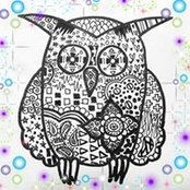 Patty Hoenninger's photo