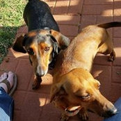 Foto de LuAnn Clem