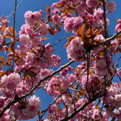Alissa Garrison's photo