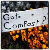 Maureen Collins's photo