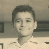 Hani Seifs foto