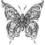 Vanessa Weyers's photo