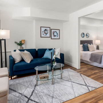DC Row House Whole House Renovation