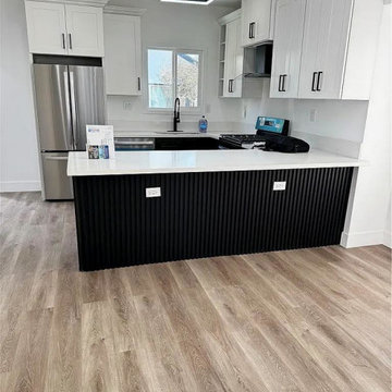 Modern Home Renovation