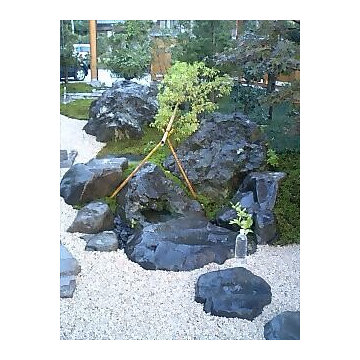 蹲