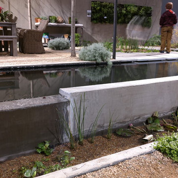 Natural Swimming Pool. 2014 Chicago Flower and Garden Show
