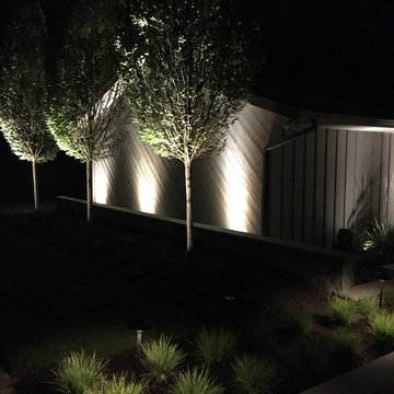 Contemporary Transformation