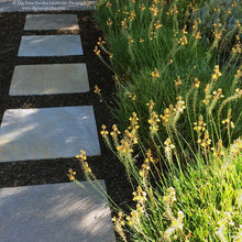 Front yard landscape