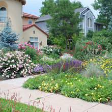outdoors/garden