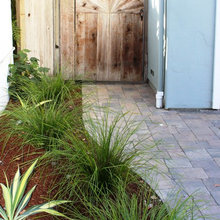 Landscape Plants