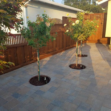 Front Yard Oasis