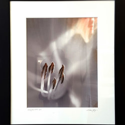"Enlightenment" by Katherine Morgan Framed 32x28 - Photographs