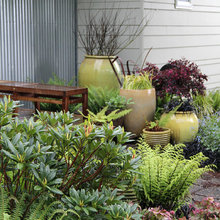 Container Gardening