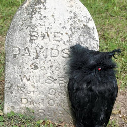 Black Halloween Owl - Holiday Decorations