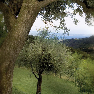 Casa con piscina vista lago di Garda