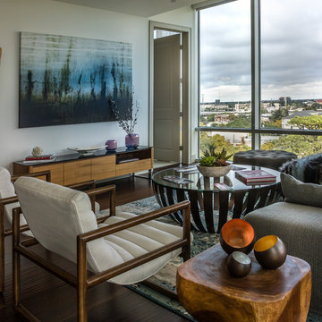 AIA Home Tour (Fall 2017) / Museum District Highrise
