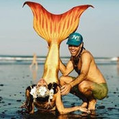 Lauren Chu's photo