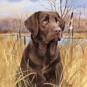 Mary McDaniel's photo