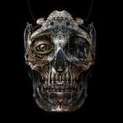 Foto de Travis Chatterton