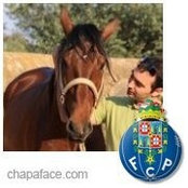 Foto von Luis Soares