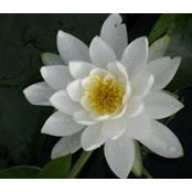 SuAnn Solverson's photo