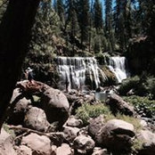 Kyle Jacobs's photo