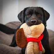 Laura Cripps's photo