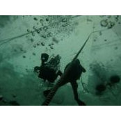 Cal Azzouni's photo