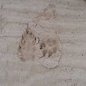 Photo de Sally Petts