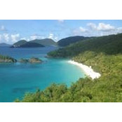 LA Williams's photo