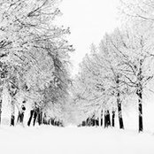 Alicia May's photo