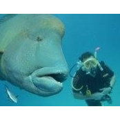 Christian Anderson's photo