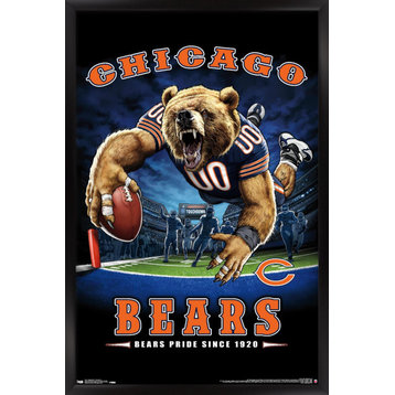 NFL Chicago Bears - End Zone 17