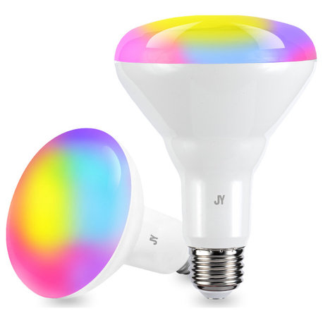 Smart BR30 Dimmable Light Bulb Dimmable Color Changing LED, Set of 2
