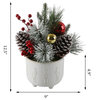 12.5"H Xmas Mix in 6" Cracker Ceramic Footed