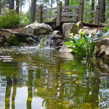 Hardscapes & Custom Landscapes