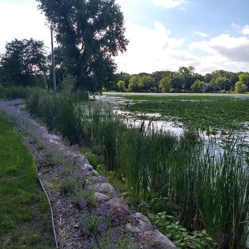Lakeside Boulders and Planting
