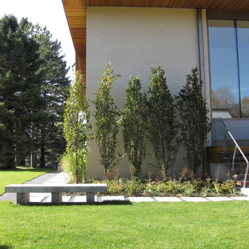 Northern Grassy Knoll