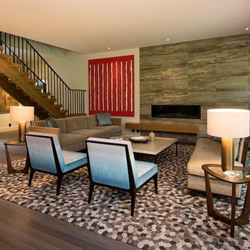Contemporary Living Room