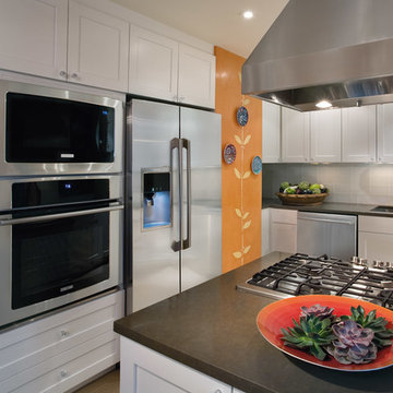 Electrolux Inspiration