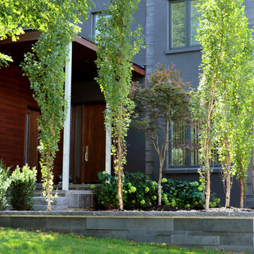Bathurst and Wilson - Modern Style