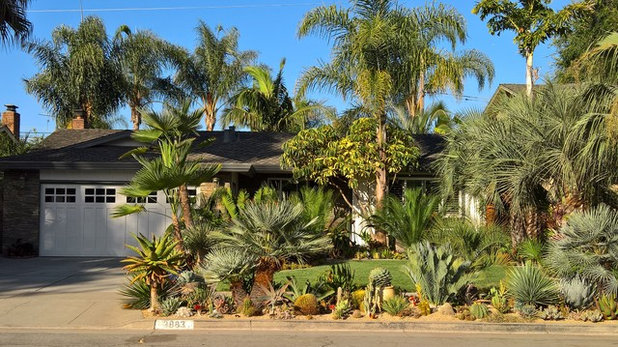 Tropical Landscape by The Garden Conservancy