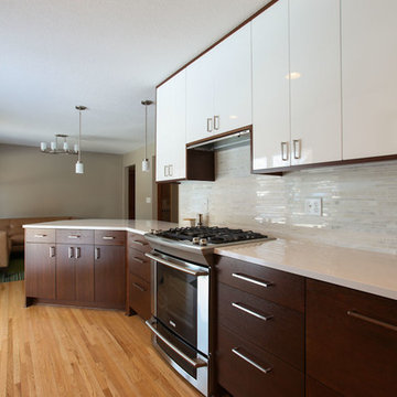 Brooklyn Park Modern Kitchen Remodel