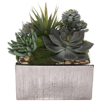 Succulents Arrangement With rocks, Square Etched Sliver Pot