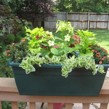 Container Ideas