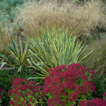 Vashon Garden
